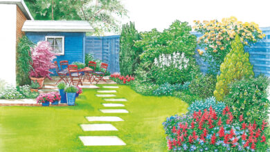 Photo of Gartengestaltungspläne – Ratschläge zu Gartengestaltungsoptionen