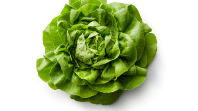 Photo of Häufige Kopfsalatpflanzenkrankheiten: Tipps zur Behandlung von Kopfsalatkrankheiten