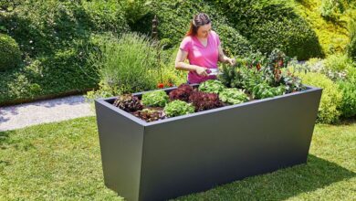 Photo of Vor- und Nachteile der Gartenarbeit