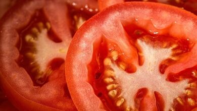 Photo of Warum Tomaten sauer oder bitter schmecken – Wie man den bitteren Geschmack von Tomaten beseitigt