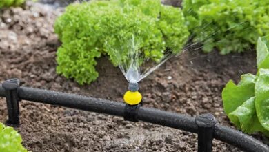 Photo of Arten der Bewässerung | Vorteile jedes Bewässerungssystems für den Garten
