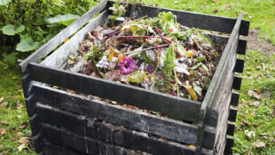 Photo of Bio-Kompost für den Garten