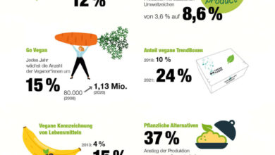 Photo of Bio-Lebensmittel und verantwortungsvoller Konsum. Auf dem Weg zu einer grüneren Wirtschaft