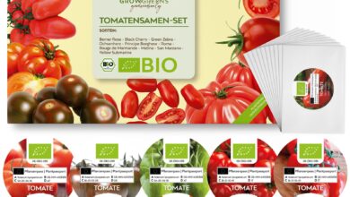 Photo of Bio-Tomaten: Sorten und Anbautipps