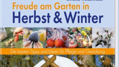 Photo of Die besten Tipps für den urbanen Garten im Herbst und Winter