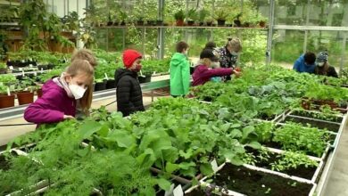 Photo of Gärtnern für Kinder: Bringen Sie ihnen das Pflanzen bei