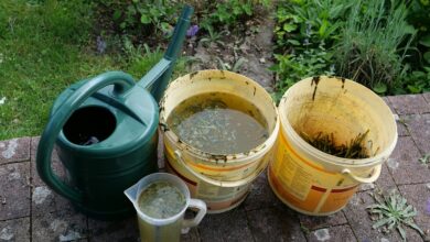 Photo of Hausmittel gegen Schädlinge und Krankheiten im Garten