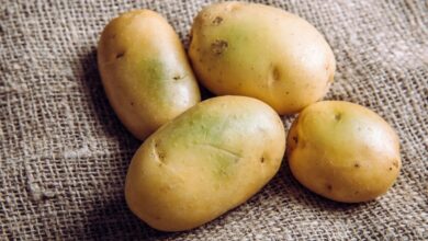 Photo of Kartoffelsorten und -sorten: Unterschied zwischen neuen und alten Kartoffeln