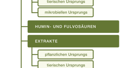 Photo of Landwirtschaftliche Biostimulanzien: Arten von pflanzlichen Biostimulanzien