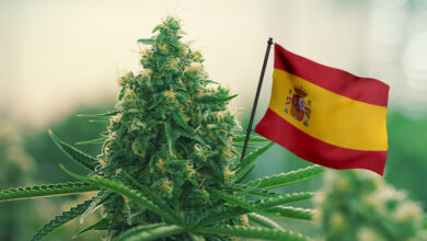 Photo of Marihuana-Samen in Spanien