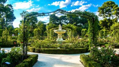Photo of Obstgarten des Botanischen Gartens von Madrid