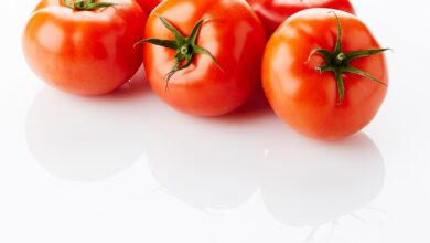 Photo of Ökologischer Anbau: Das Beispiel „Sponsor a Tomato“