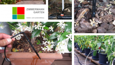 Photo of Reparaturen und Wartung im Garten: Bewässerung, Töpfe und Werkzeuge
