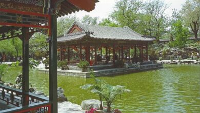 Photo of Sanyuanli-Gemeinschaftsgarten. Ein Gemeinschaftsgarten in Peking