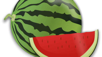 Photo of Wie man Wassermelonen düngt: [Komponenten und Bedürfnisse]