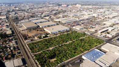 Photo of Urban Gardens in South Central Los Angeles anlegen