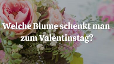 Photo of Valentinstag: warum Blumen schenken