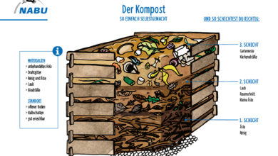 Photo of Was ist kompostieren. Bedingungen und Materialien für die Kompostierung