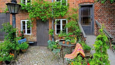 Photo of Wie man einen urbanen Garten auf einer Terrasse kultiviert: Vollständige Anleitung