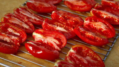 Photo of Wie man Tomaten erfolgreich trocknet